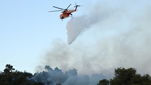 Φωτιά σε δασική έκταση στο Μυρόφυλλο - Επιχειρούν εναέρια μέσα